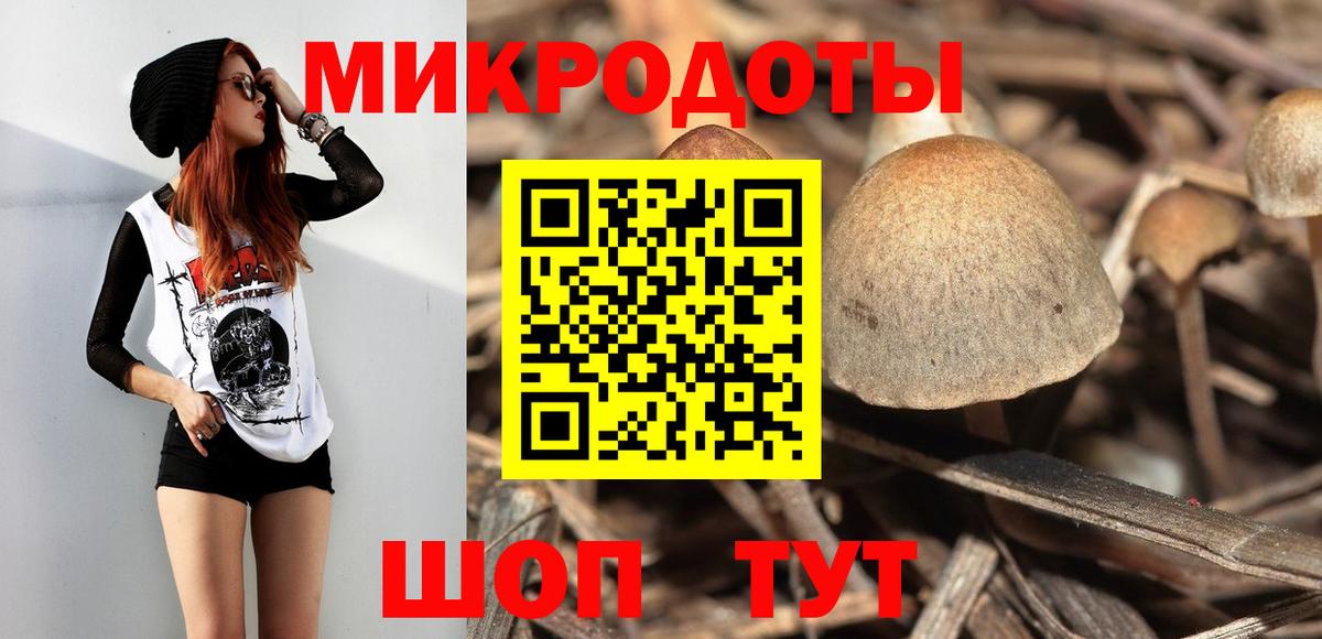 Галлюциногенные грибы прущие грибы Похвистнево